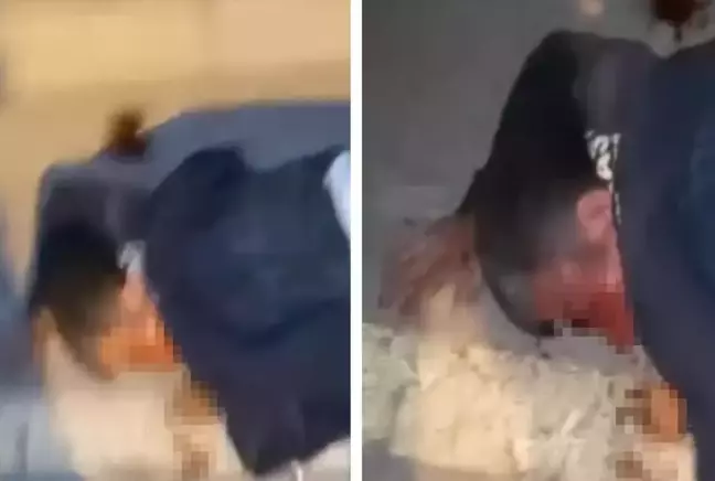 Dövüp bıçakladı, can çekişirken videoya çekip yaptıklarını anlattı