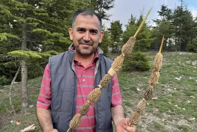 Toplaması tutku, kilosu 900 lira! Altın bulan bu kadar sevinmiyor