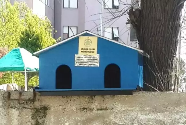 Tekirdağ'dan Kısa Kısa