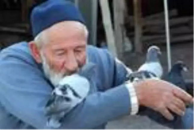 Güvercin besleyen Halil Dede, örnek oluyor