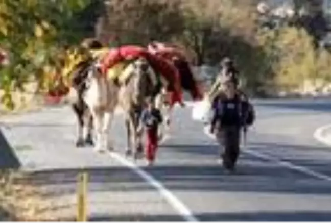 Yörüklerin develerle kış yurdu göçü başladı! Çoluk çocuk 25 gündür yoldalar