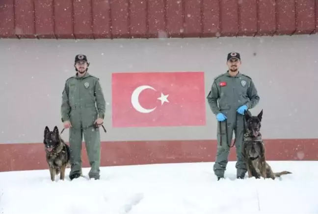 ÖZEL EĞİTİMLİ KÖPEKLER OBERT 33, CALİSTO 14 İLDEKİ VAKALARDAN SORUMLU