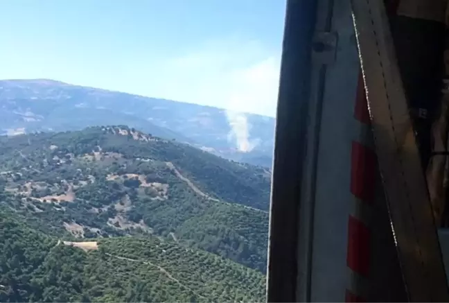 Son dakika haberleri! Akhisar'da orman yangını kısa sürede kontrol altına alındı