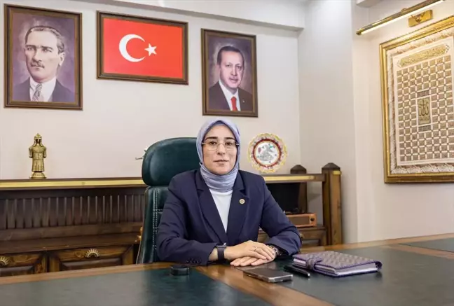 Şanlıurfa'da 30 Ağustos Zafer Bayramı mesajları