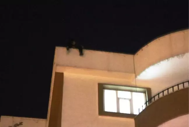 Van'da İntihar Girişimi