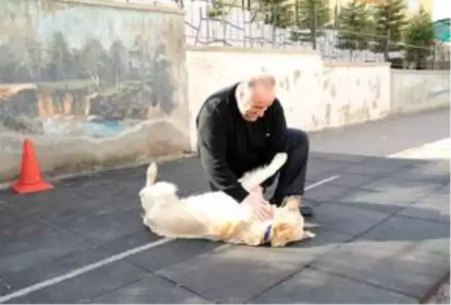 Altındağ Belediye Başkanı Balcı'dan