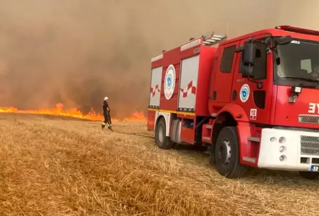 Tekirdağ'da 40 Dönüm Ekili Buğday Yangında Kül Oldu