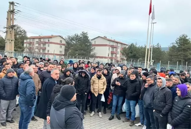 Tes-İş Sendikası, Çelikler Tunçbilek, Orhaneli ve Seyitömer termik santrallerinde eylem kararı aldı