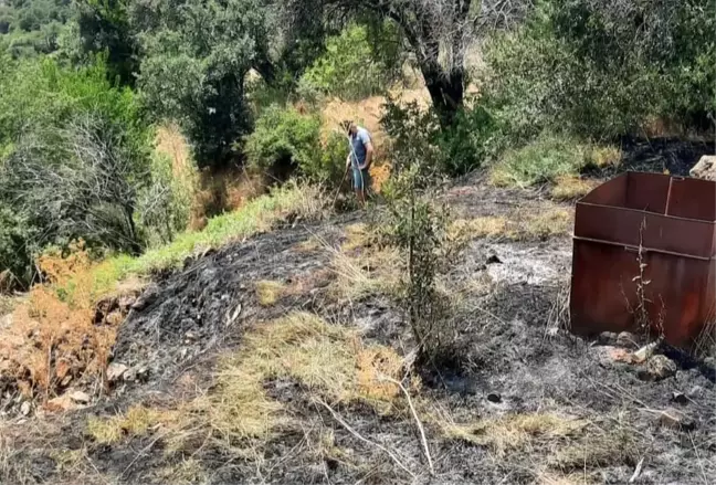 Tunceli'de çıkan ot yangını vatandaşlar tarafından söndürüldü