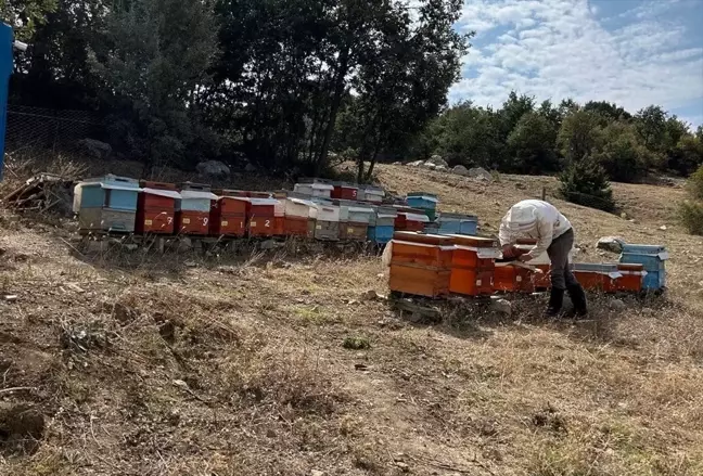 Yozgat'ın Çekerek İlçe Tarım ve Orman Müdürü Arıcıları Ziyaret Etti