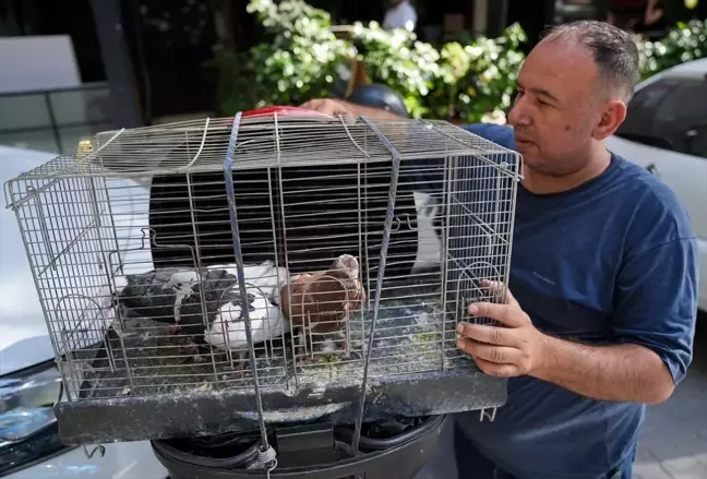 Yangında evini kaybetti ama güvercin tutkusundan vazgeçmedi