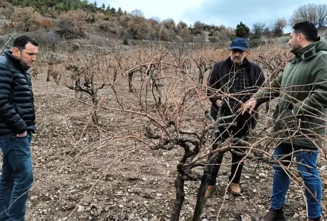 Kütahya'da Üzüm Pekmezi İncelemesi