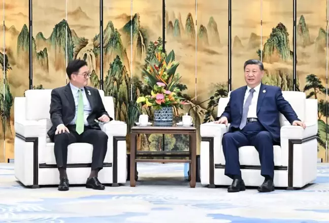 Xi Jinping ve Güney Kore Ulusal Meclis Başkanı Woo Won-shik Görüştü