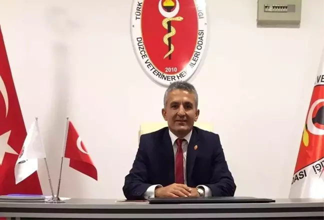 Karanfil: