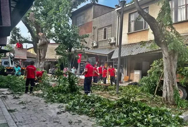 Fırtına etkili oldu, ağaç devrildi, çatılar uçtu