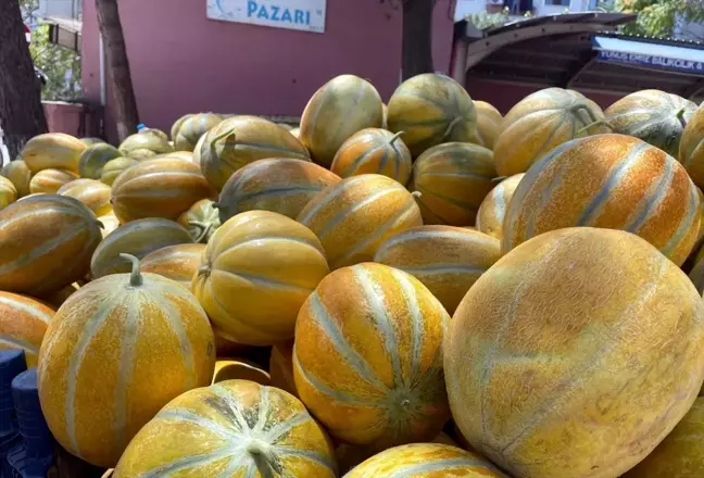 Sakarya'nın coğrafi işaretli 'Pamukova kavunu' tezgahlarda