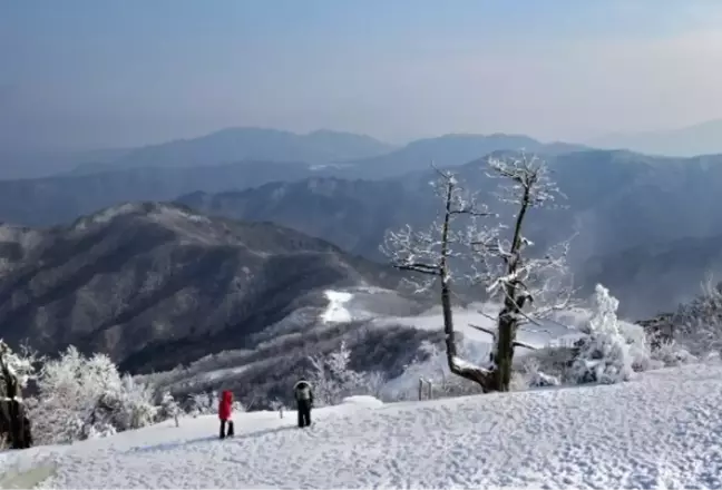 Kastamonu okullar tatil mi SON DAKİKA? 7 Şubat Cuma Kastamonu okul yok mu (Kastamonu Valiliği KAR TATİLİ AÇIKLAMASI)?