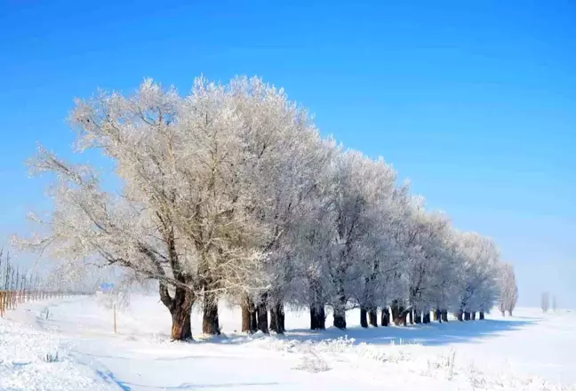 Meteorolojiden Erzurum için Buzlanma ve Don Uyarısı