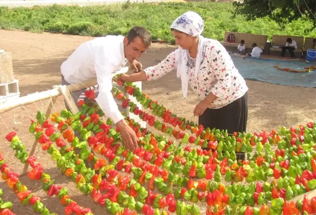 Kurutmalık Salça ve Turşuluklara Yoğun İlgi