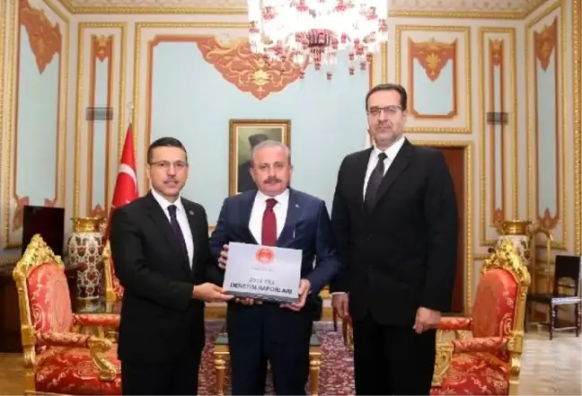 Sayıştay başkanı, 2018 yılı denetim raporunu tbmm'ye teslim etti