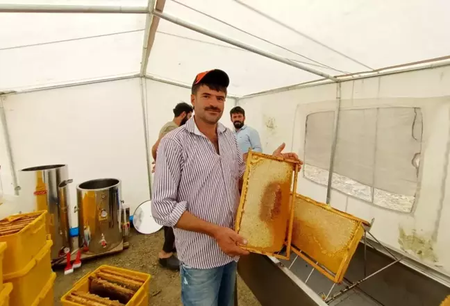 Adıyaman'da 'geven' balı sağımı başladı