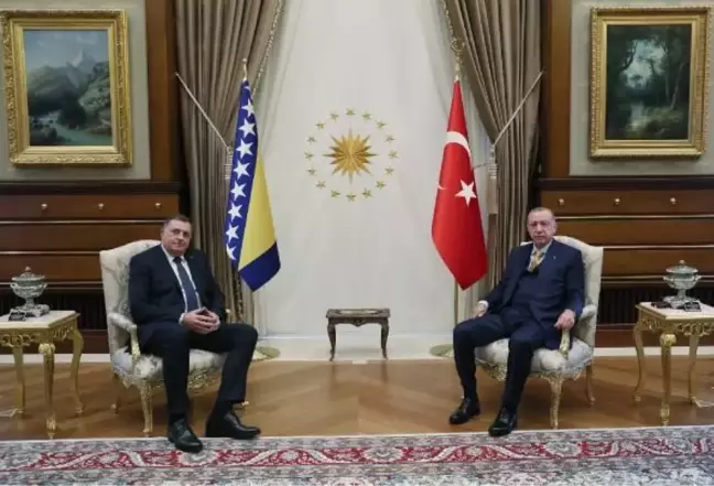 Cumhurbaşkanı Erdoğan, Bosna Hersek Devlet Başkanlığı Konseyi üyesi Dodik ile bir araya geldi