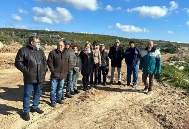 Çevrecilerden 'beach club için ağaçlar kesildi' iddiasıyla suç duyurusu