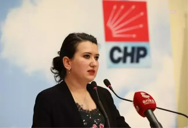CHP Genel Başkan Yardımcısı Gökçe Gökçen, Adalet Bakanı Yılmaz Tunç'a Urfi Çetinkaya'nın serbest kalması için Adalet Bakan Yardımcısı Akın Gürlek ile temasa geçtiği iddiasıyla ilgili soruşturma başlatılmasını Meclis gündemine taşıdı
