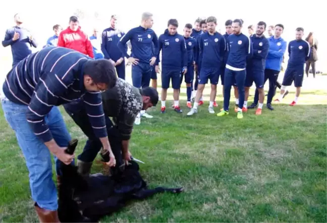 Kötü Gidişat Sona Ersin Diye' Kurban Kestiler