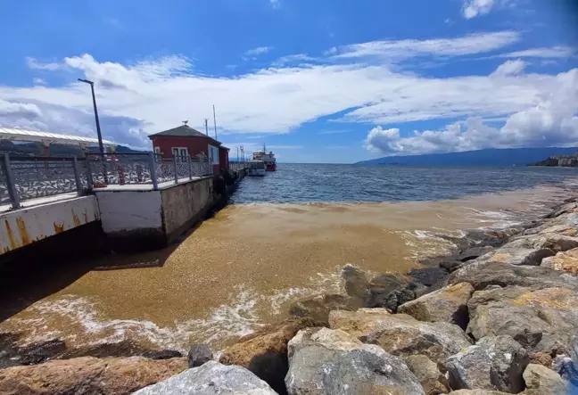 Gemlik Körfezi'nde deniz salyası kıyı bölgelerde yoğunlaştı