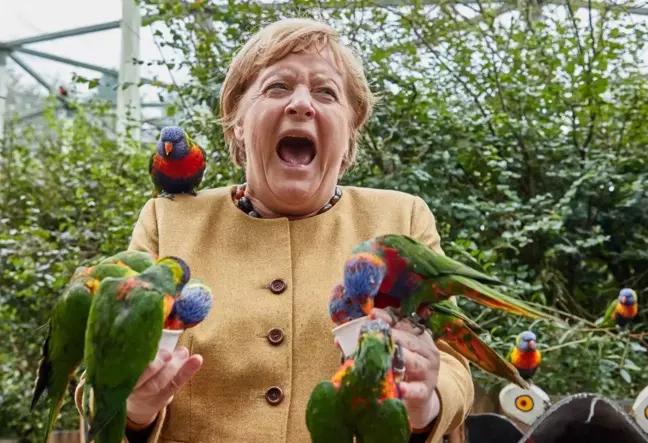 16 yıllık görevini bırakmaya hazırlanıyor! Merkel'in veda turuna zor anları damga vurdu