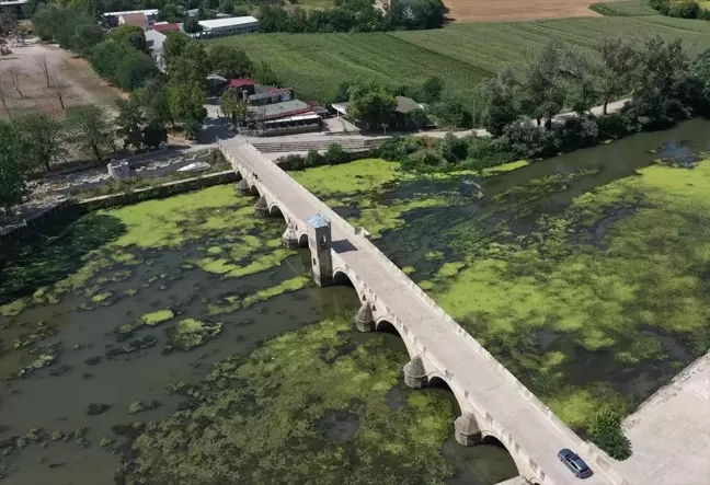 Edirne'de Tunca Nehri'nde Çöp Birikimi