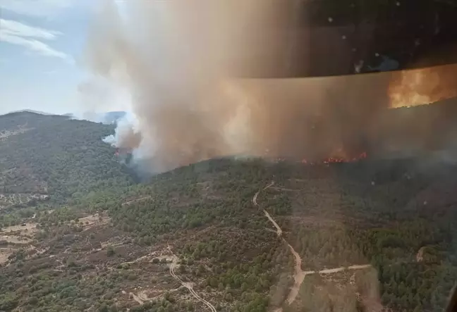 Foça'da Çöplükte Yangın: Havadar ve Karadan Müdahale Başlatıldı