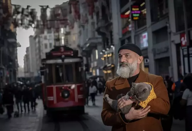 Sahibinin omzunda taşıyarak gezdirdiği kedi adeta İstanbul'un seyyahı oldu