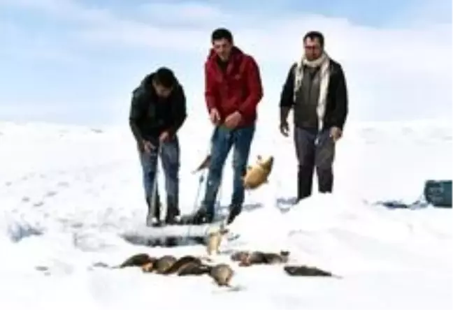 Donan Nazik Gölü'nde Eskimo usulü balık avı