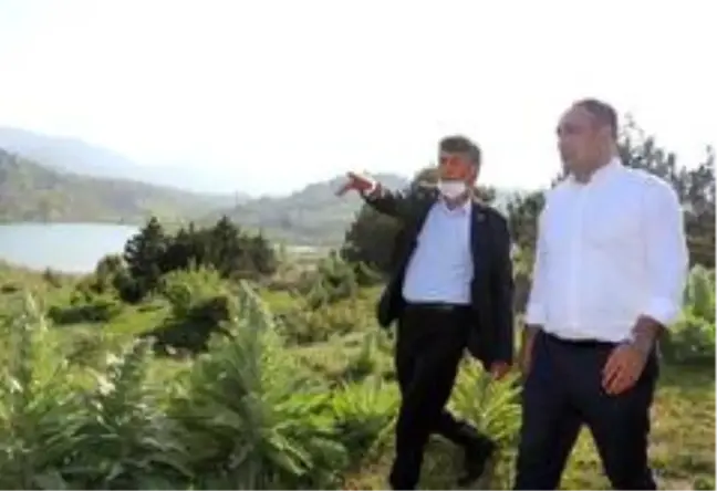 Başkan Yılmaz, yaylalarda incelemelerde bulundu
