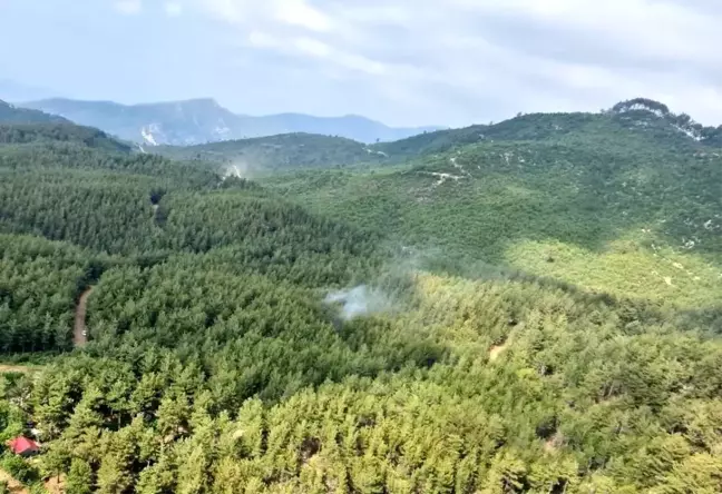 Son dakika 3. sayfa: Osmaniye'deki orman yangını kontrol altına alındı