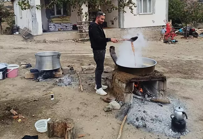 Sorgun'da üzüm hasadı başladı