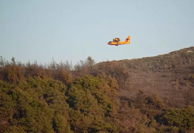 İzmir Urla'daki Orman Yangını Kontrol Altına Alındı