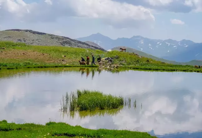 Faraşin Yaylası, besicilerin tercihi