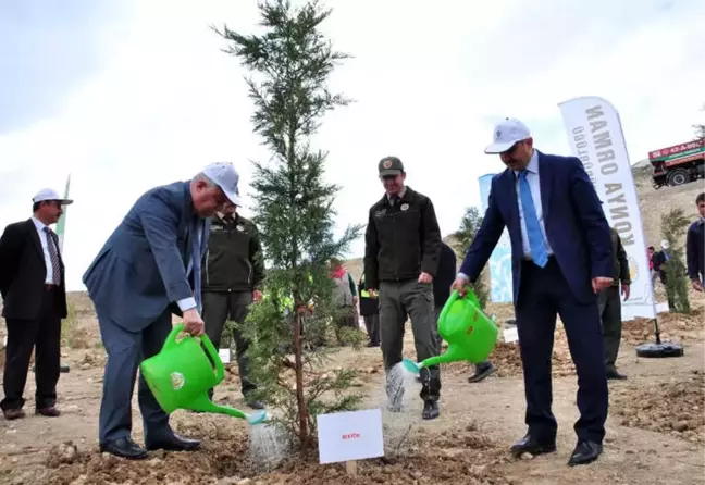 Neü'de Yüzlerce Fidan Toprakla Buluşturuldu