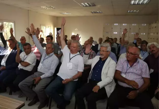 Anadolu Arastası'nda Sona Doğru
