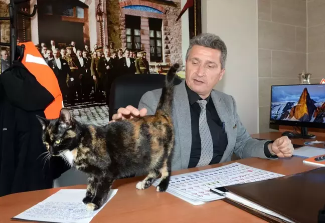 Karayolu çalışanlarından sokak hayvanlarına sıcak yuva