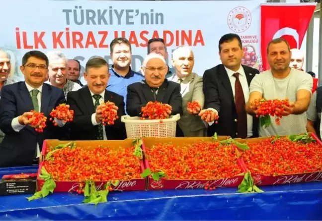 Manisa'da sezonun ilk kirazı 700 TL'den satıldı