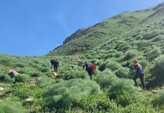 Van'da ot toplarken kayalıklardan düşerek yaralanan 2 kişiyi ekipler kurtardı