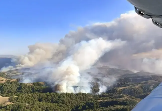 Manisa'da çıkan orman yangınlarına müdahale sürüyor