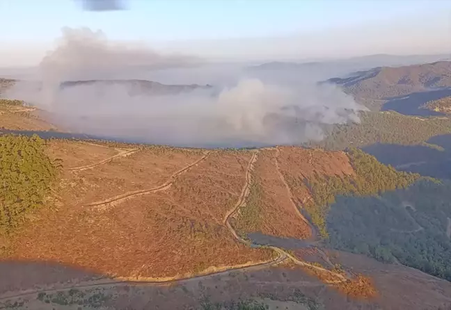 Manisa'da devam eden orman yangınlarına müdahale sürüyor