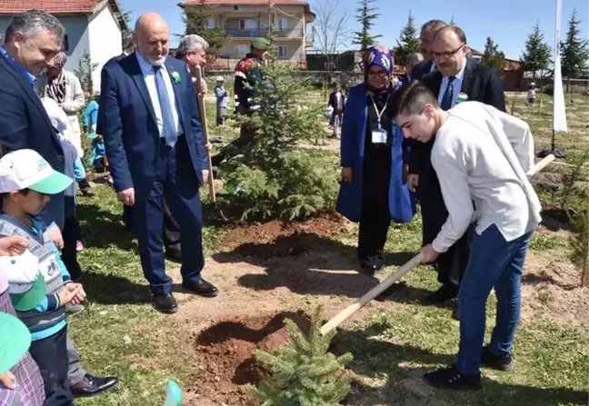 Öğrencilerden Zeytin Dalı'na Özel Hatıra Ormanı