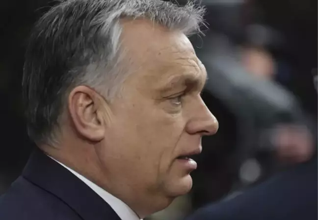 Macaristan Başbakanı Orban: