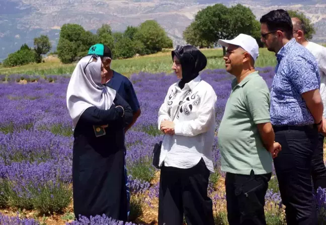 Emekli Hemşire Girişimciliğiyle Lavanta Yetiştiriciliği Yapıyor